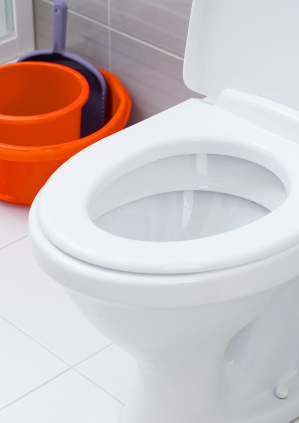 about img 02 1 600x850